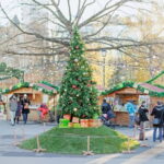 Christmas Tour of Sofia: The City of Lights & Holiday Cheer! - A Detailed Look at the Sofia Christmas Tour