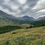 Chugach State Park Nature Walk - Why This Tour Stands Out