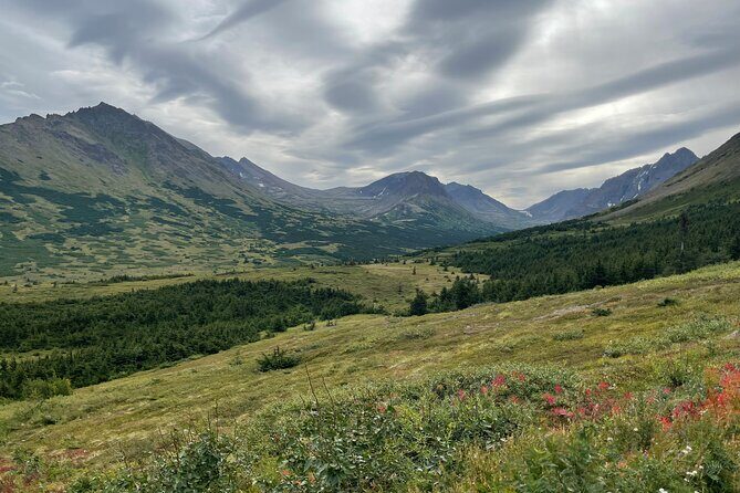Chugach State Park Nature Walk - Why This Tour Stands Out