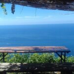 Cinque Terre by train and boat - The Sum Up