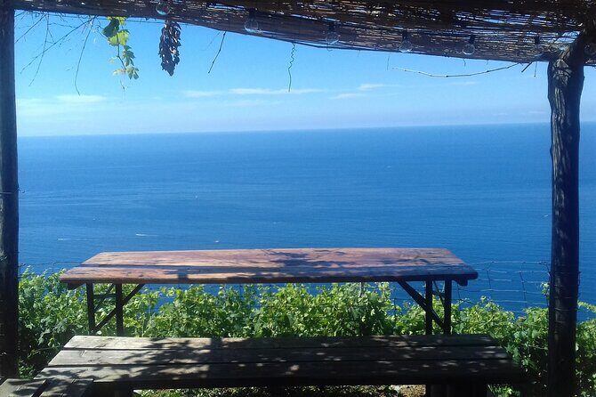 Cinque Terre by train and boat - The Sum Up