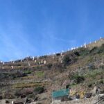 Cinque Terre unforgettable hiking experience - Analyzing the Value: What Does the Cost Cover?