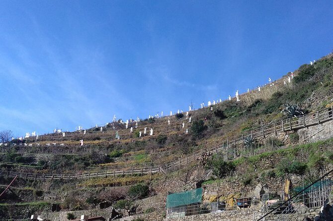 Cinque Terre unforgettable hiking experience - Analyzing the Value: What Does the Cost Cover?