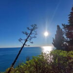 Cinque Terre Villages Walking panoramic tour - Who Should Consider This Tour?