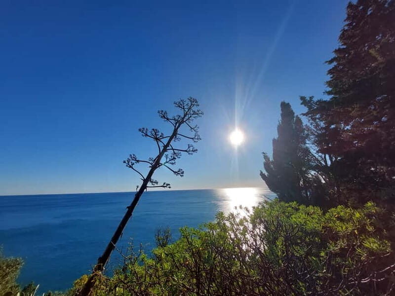 Cinque Terre Villages Walking panoramic tour - Who Should Consider This Tour?