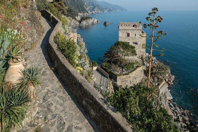 Cinque Terre Walking Tour with Food and Wine Tastings - Who Will Get the Most from This Tour?
