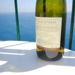 Cinque Terre Wine Tasting and Boat Trip - In-Depth Review of the Cinque Terre Wine Tasting and Boat Trip
