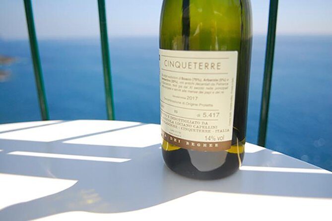 Cinque Terre Wine Tasting and Boat Trip - In-Depth Review of the Cinque Terre Wine Tasting and Boat Trip