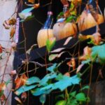 Cinque Terre: Wine Tasting in Monterosso - A Closer Look at What This Tour Offers