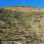 Cinque terre wine tour and tasting with the somelier in Manarola - Why This Tour Offers Great Value