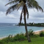 Circle Island 8hr Private Small Group Tour - Final Thoughts