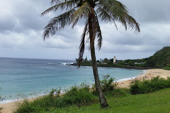 Circle Island 8hr Private Small Group Tour - Final Thoughts