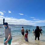 Circle Island Tour - The Experience: Pros and Cons