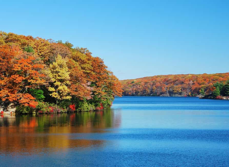 Circle Line: Bear Mountain Foliage & Oktoberfest Cruise NYC - An In-Depth Look at the Experience