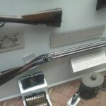 City Bus Tour with Charleston Museum Admission - The Sights and Stops