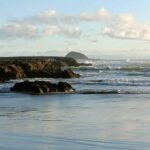 City & Coast & Country  A Relaxed Day Tour from Auckland - The Value of This Tour