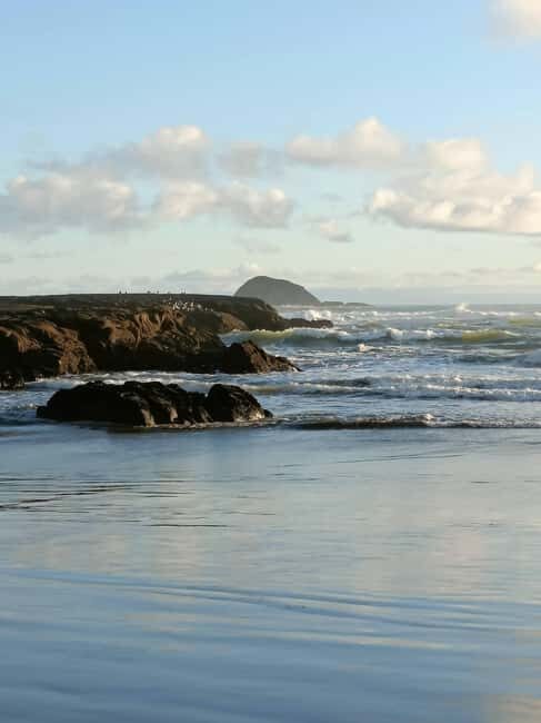 City & Coast & Country  A Relaxed Day Tour from Auckland - The Value of This Tour