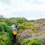 City Explorer: Howth Private Day Trip - Itinerary Breakdown: What You Can Expect