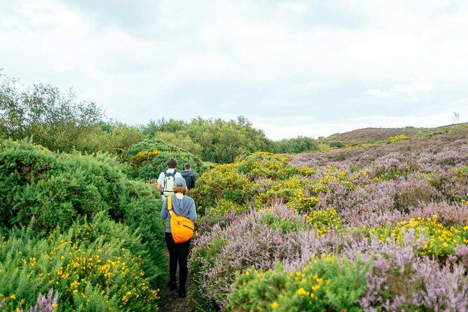 City Explorer: Howth Private Day Trip - Itinerary Breakdown: What You Can Expect