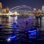 City Lights by Night Paddle on Sydney Harbour Guided Tour - An In-Depth Look at the Sydney Harbour Night Kayaking Experience