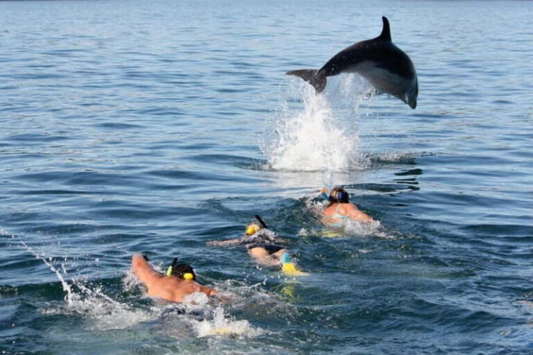 City Of Side: Dolphin Island Boat or Side Boat Tour Options - Who Should Consider This Tour?