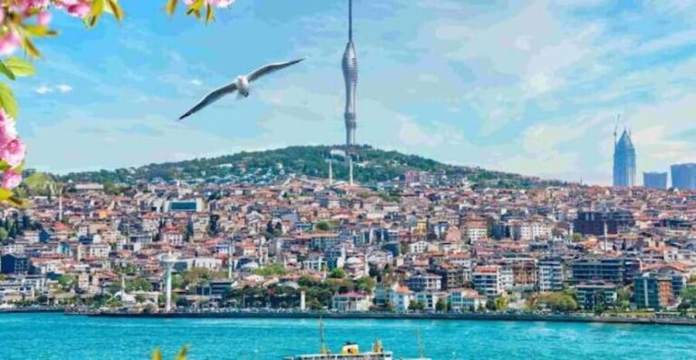 City of Two Continents Group Tour - Who Is This Tour Best For?