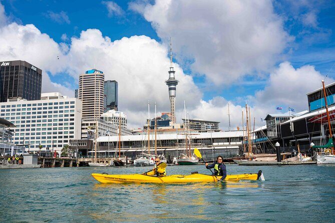 City Scenes Kayak Tour in Auckland - Explore the Waterfront - Additional Considerations