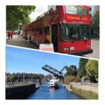 City Sightseeing Seattle: HOHO Bus Tour + Locks Cruise - A Detailed Look at What Youll Experience