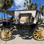 City tour on electric horse wagon. - The Sum Up