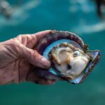 City Tour to Cabo San Lucas and Transparent boat to the Arch - What to Expect: A Closer Look at the Itinerary