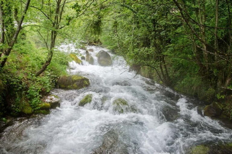 City Trip Struga and Vevchani from Ohrid and Struga - What the Reviews Say