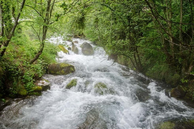 City Trip Struga and Vevchani from Ohrid and Struga - What the Reviews Say