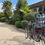 CITYBIKE/ easy Classic FOR 24 hours with Free delivery! - Exploring Cagliari on a 24-Hour Citybike