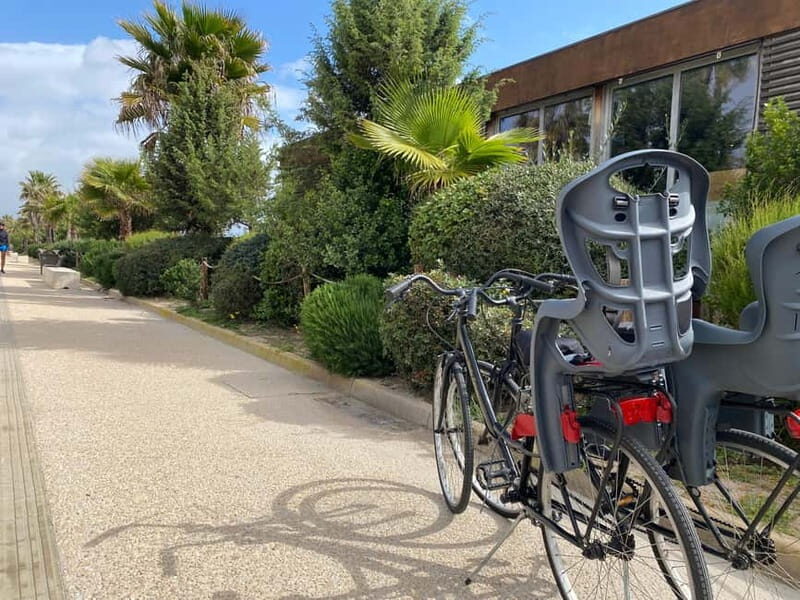 CITYBIKE/ easy Classic FOR 24 hours with Free delivery! - Exploring Cagliari on a 24-Hour Citybike
