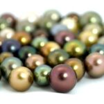 Civa Fiji Pearls Boutique Pearl Farm Tour Experience - A Detailed Look at the Tour Experience