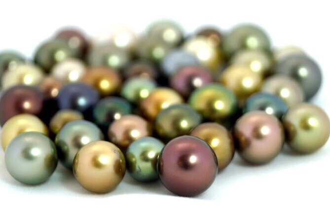 Civa Fiji Pearls Boutique Pearl Farm Tour Experience - A Detailed Look at the Tour Experience