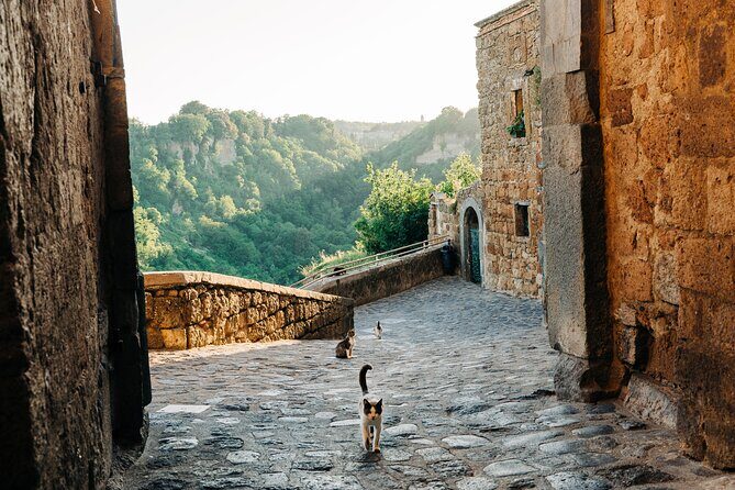 Civita di Bagnoregio and Orvieto - Private Day trip from Rome - A Deep Dive into the Experience