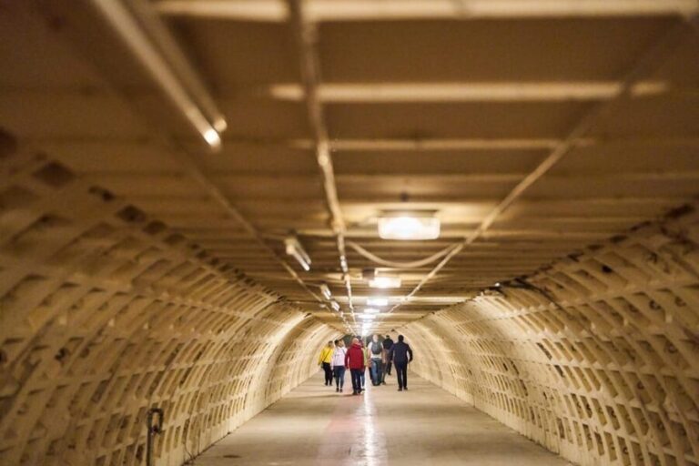 Clapham South: Subterranean Shelter Guided Tour - Why This Tour Works Well for You
