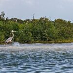 Classic 3-island tour on a shared boat-Entrance Yalahau included- - Who Should Consider This Tour?