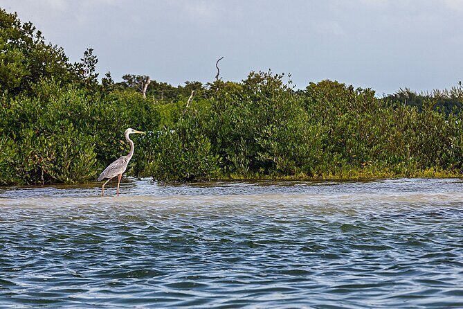 Classic 3-island tour on a shared boat-Entrance Yalahau included- - Who Should Consider This Tour?