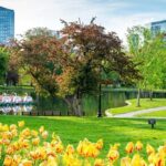 Classic Film and Television Locations Half Day Tour in Boston - An In-Depth Look at the Tour Experience