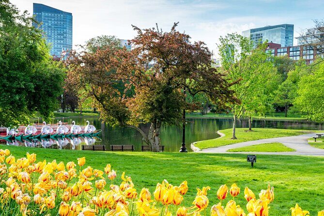 Classic Film and Television Locations Half Day Tour in Boston - An In-Depth Look at the Tour Experience