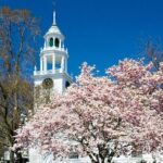 Classic Television and Sightseeing Locations 1 Day Tour in Boston - Final Thoughts