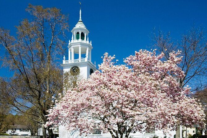 Classic Television and Sightseeing Locations 1 Day Tour in Boston - Final Thoughts