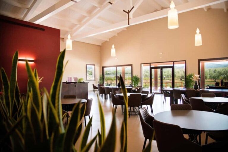 Classic Tour & Monovarietal Wines Tasting - A Deep Dive into the Bolgheri Experience
