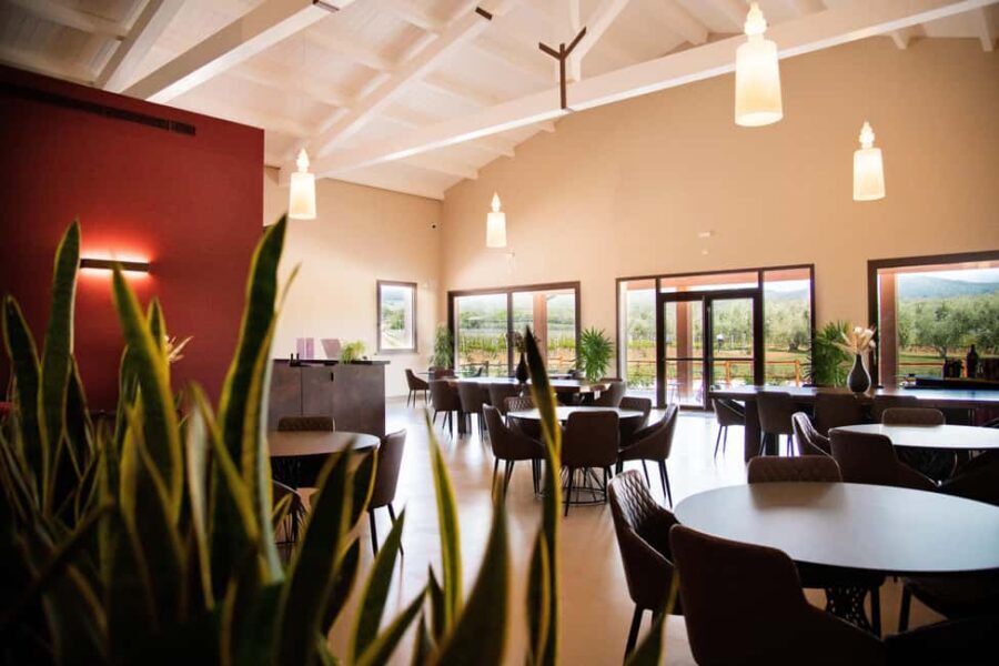 Classic Tour & Monovarietal Wines Tasting - A Deep Dive into the Bolgheri Experience