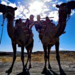 Classic (Vintage) Car & Jeep Safari & Shooting with Camels - An In-Depth Look at the Experience