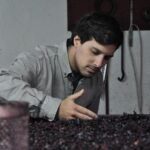 Classic Wine Tasting with GUIDED TOUR - Who Will Love This Tour?