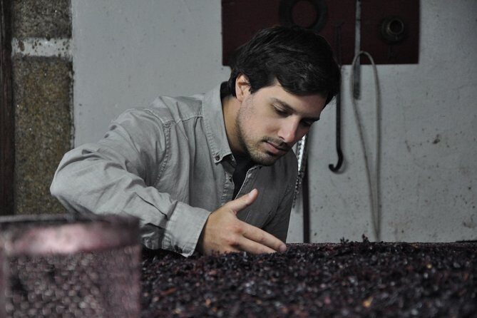 Classic Wine Tasting with GUIDED TOUR - Who Will Love This Tour?