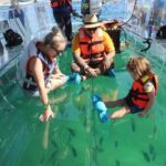 Clear Boat Ride with City Tour in Los Cabos - Frequently Asked Questions